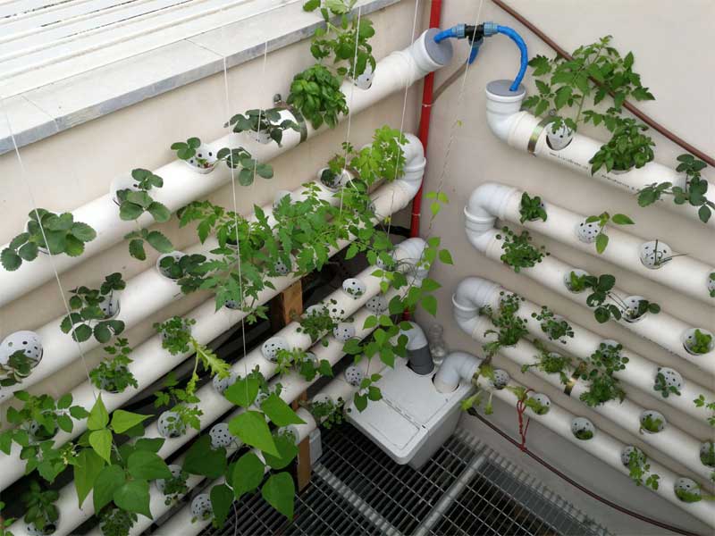 Hanging NFT hydroponics system in an urban farm
