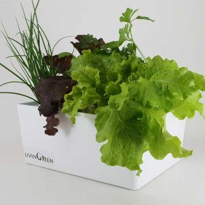 GreenBox G8 – Hydroponic planter, Hydroponic system | 8 Plants