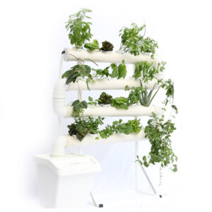 ‘Vegetable Garden’ Hydroponic System – Perfect Kit – Grow Vegetables at Home | 24 Plants